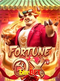 BBRBET.COM